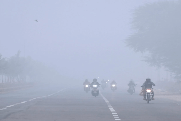 राजस्थान में बारिश–कोहरे का डबल असर, जैसलमेर में सीजन की पहली मावठ, न्यू ईयर पर बारिश का अलर्ट