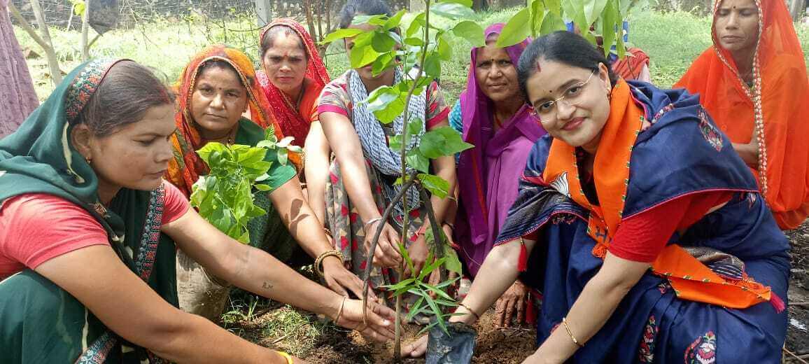 भाजपा महिला मोर्चा टोंक ने लगाए पेड़,अंजलि गुप्ता ने कहा- प्रत्येक मंडल में लगाएं जाएंगे 100 पेड़