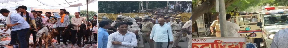 शहीद स्मारक पर आमरण अनशन कर रहे नरेश मीणा का गुस्सा फूटा, समर्थकों पर पत्थर फेंके और लातें मारी