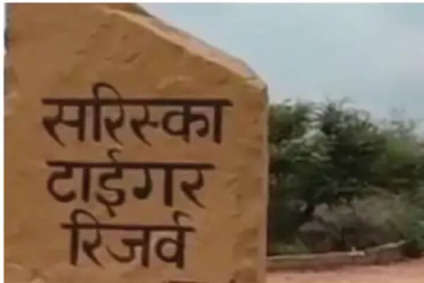 रणथंभौर में 1 अप्रैल से बदलेगा सफारी का समय, सुबह-शाम नई टाइमिंग लागू