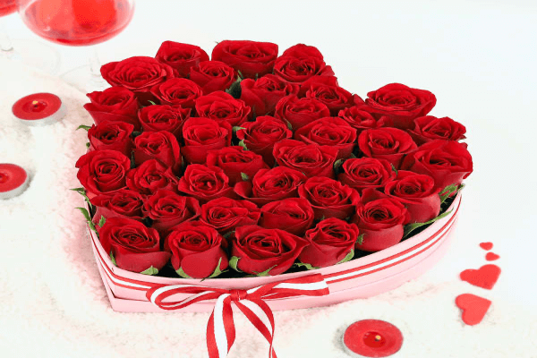 Rose Day 2025: जानिए क्यों मनाया जाता है रोज़ डे और क्या है इसका महत्व