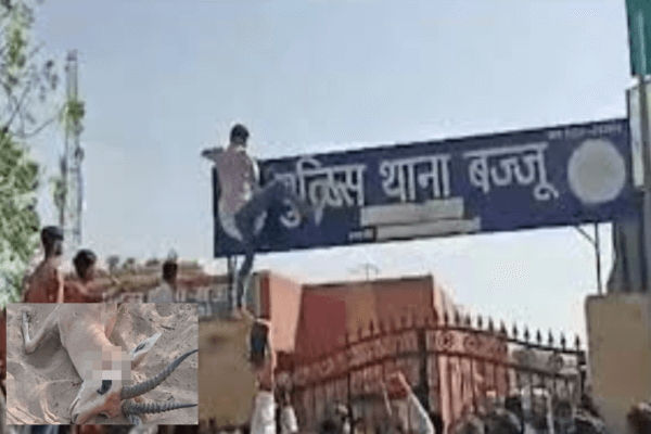 बीकानेर में हिरण शिकार: पंजाब से आए शिकारियों ने मारी गोली, जीवप्रेमियों ने किया विरोध प्रदर्शन