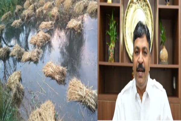 बारिश और ओलावृष्टि से फसलें चौपट: नेता प्रतिपक्ष टीकाराम जूली ने मुख्यमंत्री भजनलाल शर्मा से किसानों के लिए राहत पैकेज की मांग