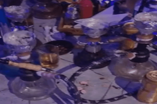 जयपुर में हुक्का बार पर बड़ी कार्रवाई: 3 गिरफ्तार, 20 हुक्के जब्त, 17 पर केस