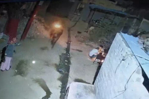 पिपलिया कलां कस्बे में अमानवीय कृत्य: सांड पर पेट्रोल डालकर लगाई आग, CCTV में कैद वारदात, आरोपी की तलाश जारी