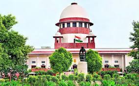 CJI बीआर गवई ने दिल्ली-NCR में आवारा कुत्तों पर लगे प्रतिबंध पर पुनर्विचार का दिया आश्वासन
