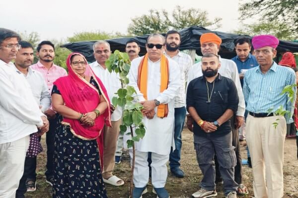 सुमेरपुर ब्लॉक की वन भूमि पर 12 हज़ार पौधे लगाए गए, हर ग्राम सेवा शिविर में होंगे वृक्षारोपण कार्यक्रम