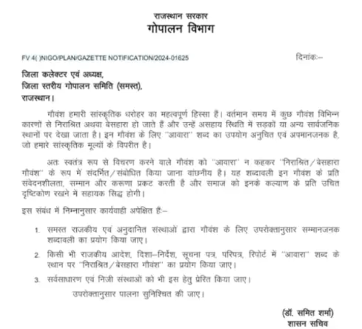 अब राजस्थान में गौवंश को नहीं कहा जाएगा 'आवारा,' सम्मानजनक शब्दों का प्रयोग अनिवार्य