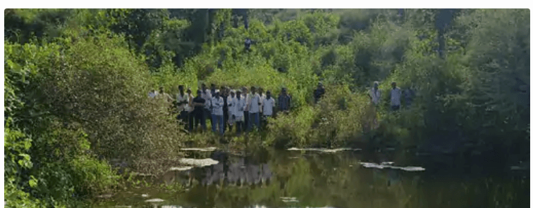 उदयपुर में दर्दनाक हादसा: तालाब किनारे कपड़े धो रही महिला को मगरमच्छ ने पानी में खींचकर मार डाला