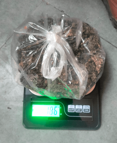 जयपुर रेंज में ‘एंटी-वेनम’ अभियान का असर: पहले दिन 15 केस, 15 आरोपी गिरफ्तार, बड़ी मात्रा में नशा बरामद