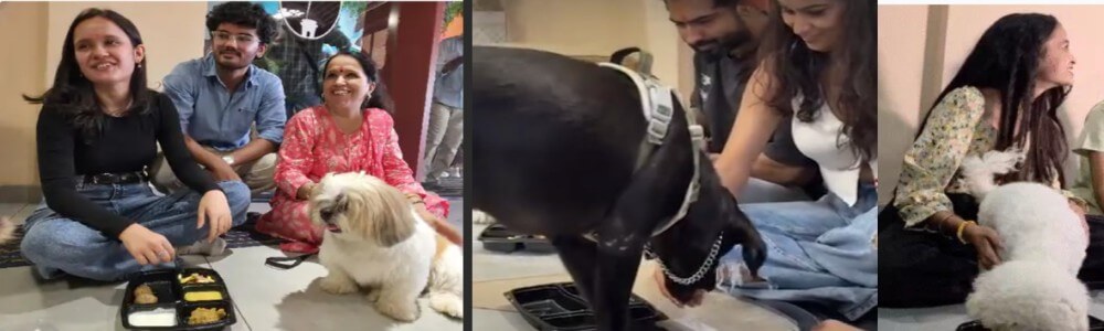 जयपुर में डॉग्स के लिए 'राजस्थानी गोठ', फ्रेंडशिप डे से पहले मनाया अनोखा जश्न