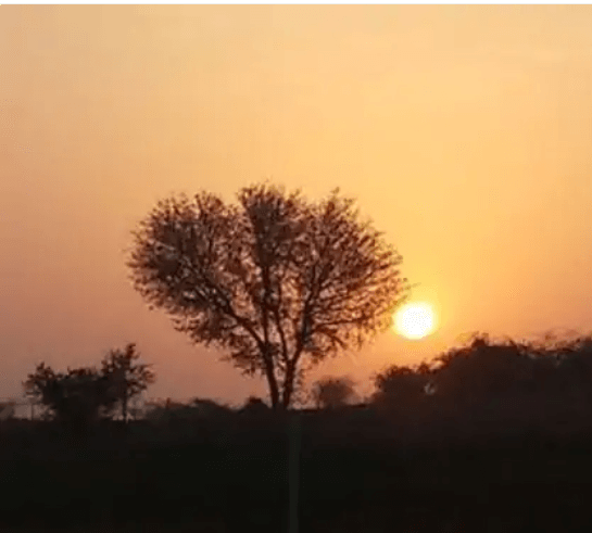 राजस्थान में इस बार पड़ेगी भीषण गर्मी: सीमावर्ती जिलों में ज्यादा हीटवेव, रातें भी रहेंगी गर्म